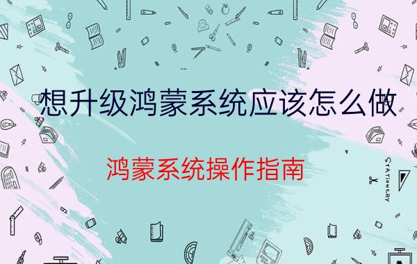 想升级鸿蒙系统应该怎么做 鸿蒙系统操作指南？